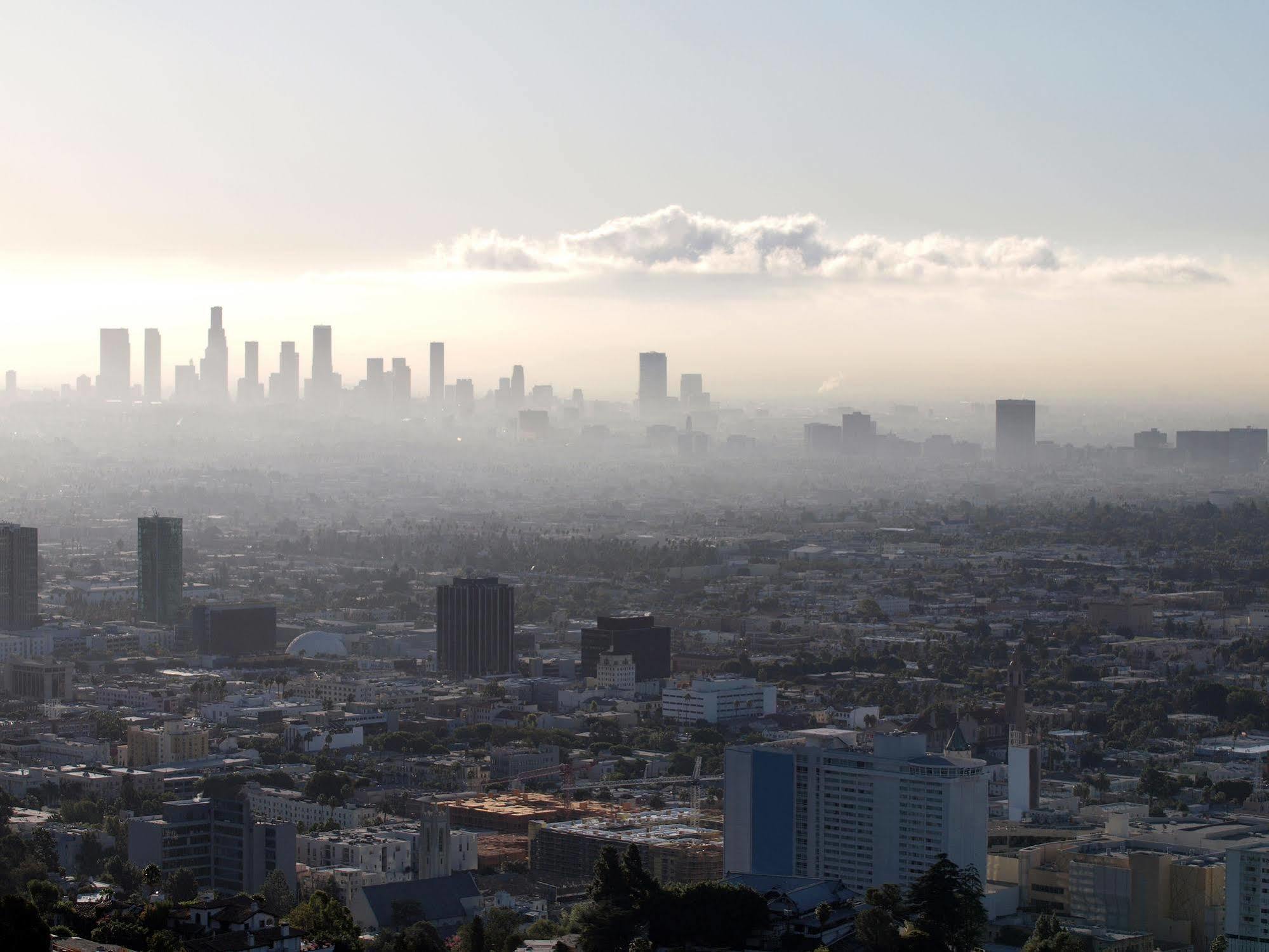 Avenue Hotel, Ascend Hotel Collection Los Angeles Buitenkant foto